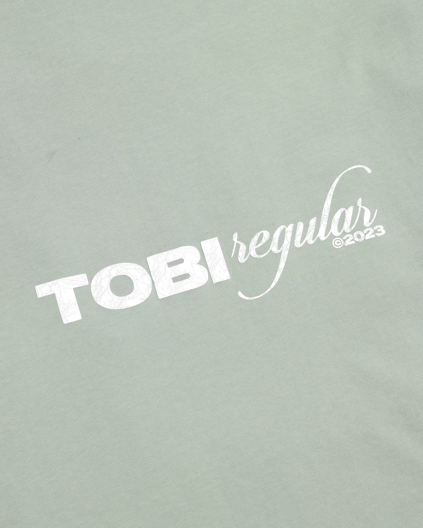 TOBI 280gsm Regular 2.0 Boxy T-shirt - Mint - TOBI